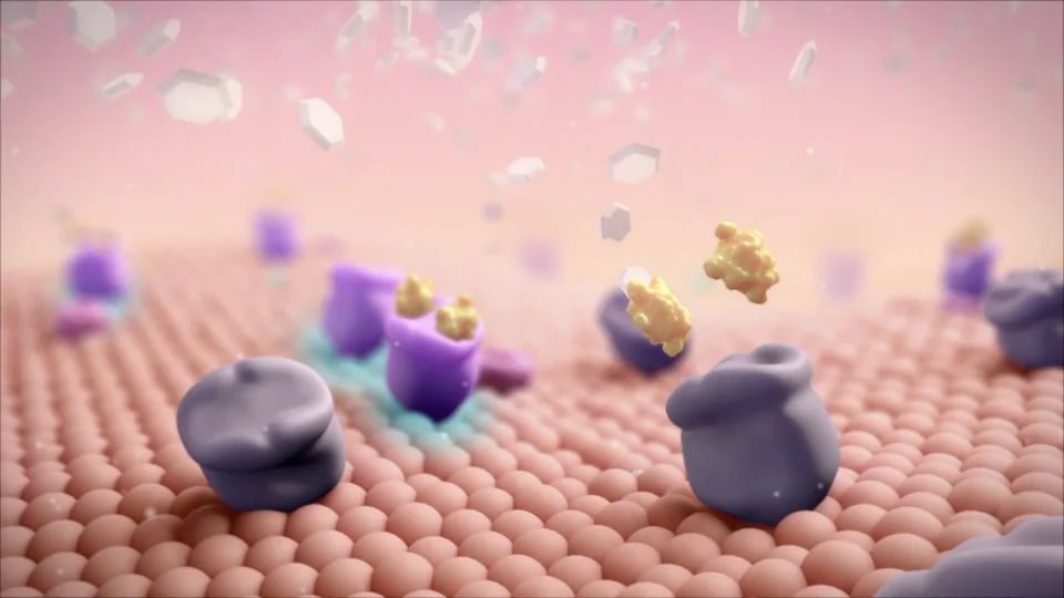 Receptor in 3D
